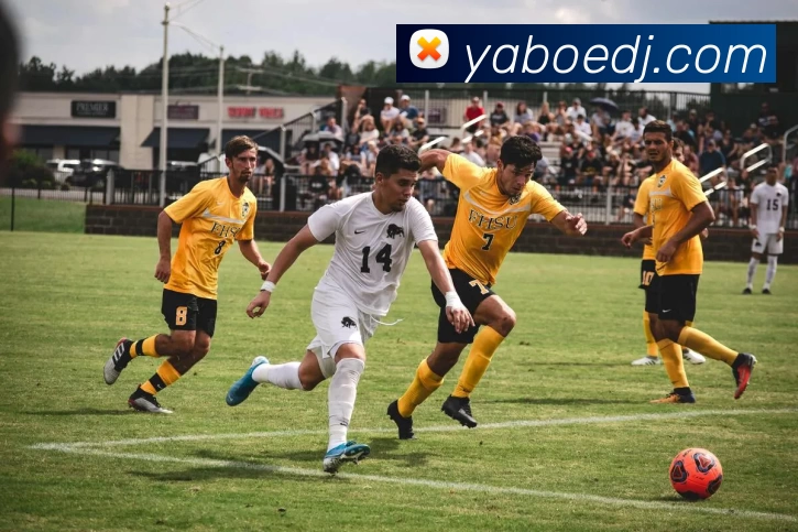 亚博电竞平台生态图